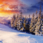 neve (102)